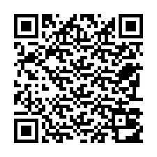 Código QR para número de teléfono +22793012493