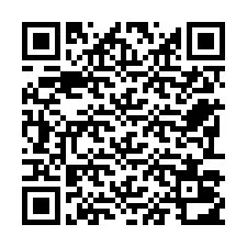 Código QR para número de teléfono +22793012527