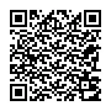 Codice QR per il numero di telefono +22793012535