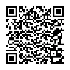 Codice QR per il numero di telefono +22793012553