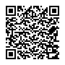 QR-код для номера телефона +22793012677