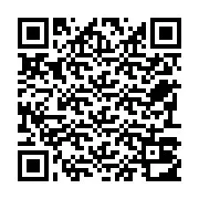 Kode QR untuk nomor Telepon +22793012813