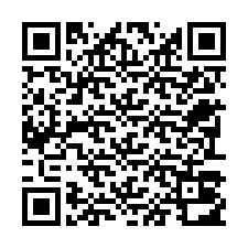 QR-код для номера телефона +22793012869