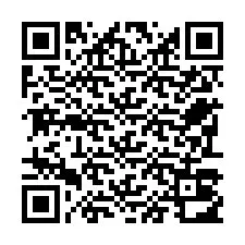 QR-код для номера телефона +22793012873