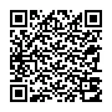 Código QR para número de teléfono +22793012890