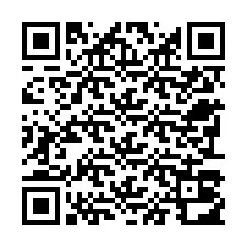 Codice QR per il numero di telefono +22793012894