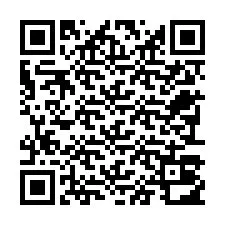 QR Code pour le numéro de téléphone +22793012899