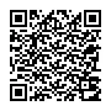 QR-code voor telefoonnummer +22793012978