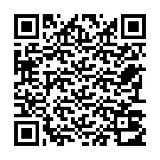 电话号码二维码 +22793012987