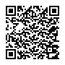 QR код за телефонен номер +22793012999