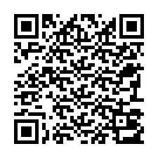 Kode QR untuk nomor Telepon +22793013000