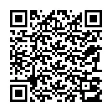 QR kód a telefonszámhoz +22793013001