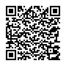 Código QR para número de teléfono +22793013004