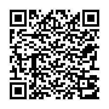 Código QR para número de teléfono +22793013005