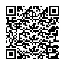 Código QR para número de teléfono +22793013008