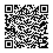 QR-код для номера телефона +22793013011