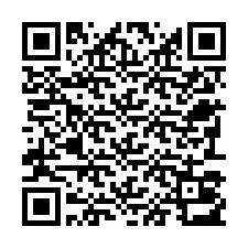 Código QR para número de telefone +22793013014