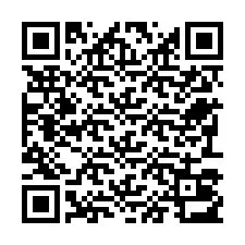 QR код за телефонен номер +22793013016