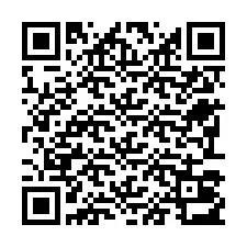 Kode QR untuk nomor Telepon +22793013022