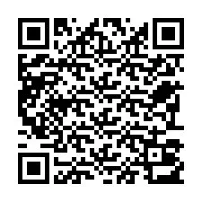 QR Code สำหรับหมายเลขโทรศัพท์ +22793013023