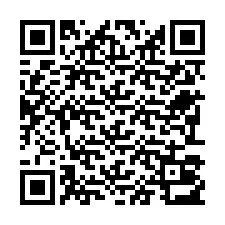 QR-код для номера телефона +22793013026