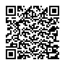 电话号码二维码 +22793013028