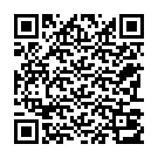 电话号码二维码 +22793013031