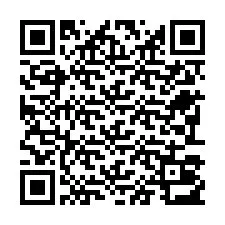 QR-code voor telefoonnummer +22793013032