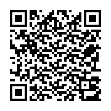 Código QR para número de telefone +22793013033