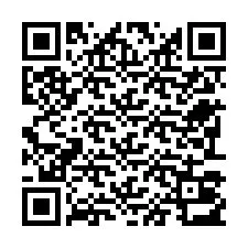 Kode QR untuk nomor Telepon +22793013036