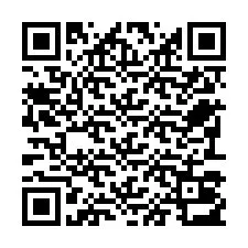 QR Code pour le numéro de téléphone +22793013043