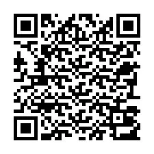 Código QR para número de teléfono +22793013048