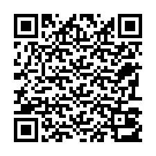 Código QR para número de telefone +22793013051