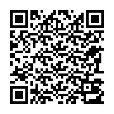 电话号码二维码 +22793013052