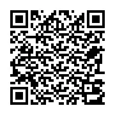 QR-code voor telefoonnummer +22793013053