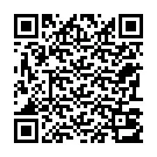 Codice QR per il numero di telefono +22793013055