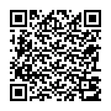 Codice QR per il numero di telefono +22793013056