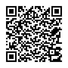 Código QR para número de telefone +22793013057