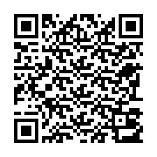 电话号码二维码 +22793013062