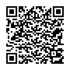 Kode QR untuk nomor Telepon +22793013065