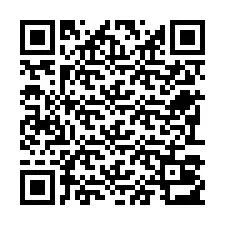 电话号码二维码 +22793013066