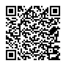 Kode QR untuk nomor Telepon +22793013067