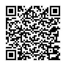 电话号码二维码 +22793013068