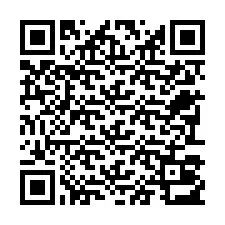 QR код за телефонен номер +22793013069