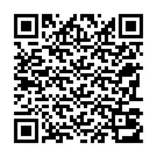 Kode QR untuk nomor Telepon +22793013070