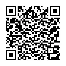 Código QR para número de teléfono +22793013071