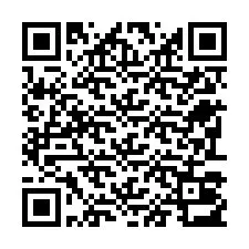 QR Code pour le numéro de téléphone +22793013072