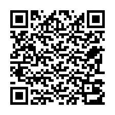 Kode QR untuk nomor Telepon +22793013073