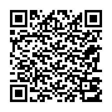 Codice QR per il numero di telefono +22793013075