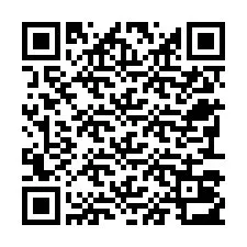 QR код за телефонен номер +22793013084